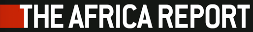 The africa report logo.png