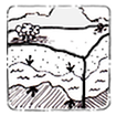 Groundwater icon.png