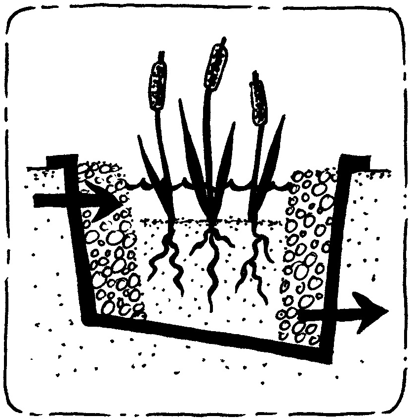 Filtre planté à écoulement horizontal sous-surface