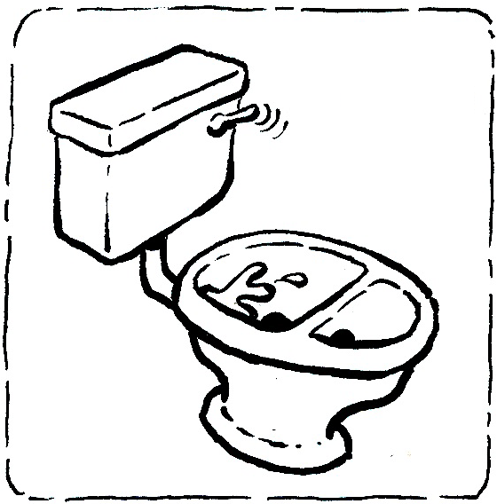 Urine Diverting Flush Toilet