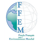 FFEM logo.png